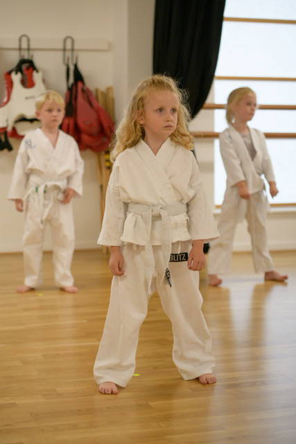 Karate Tigers 3