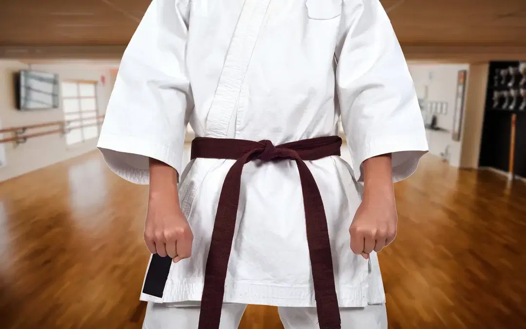 Belt Progression Blog series – BROWN BELT