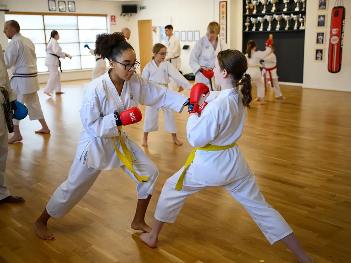 Ady Coaching in the Dojo