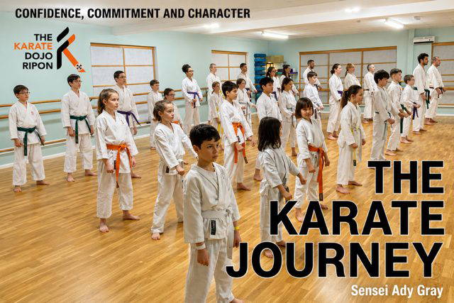 The Karate Journey
